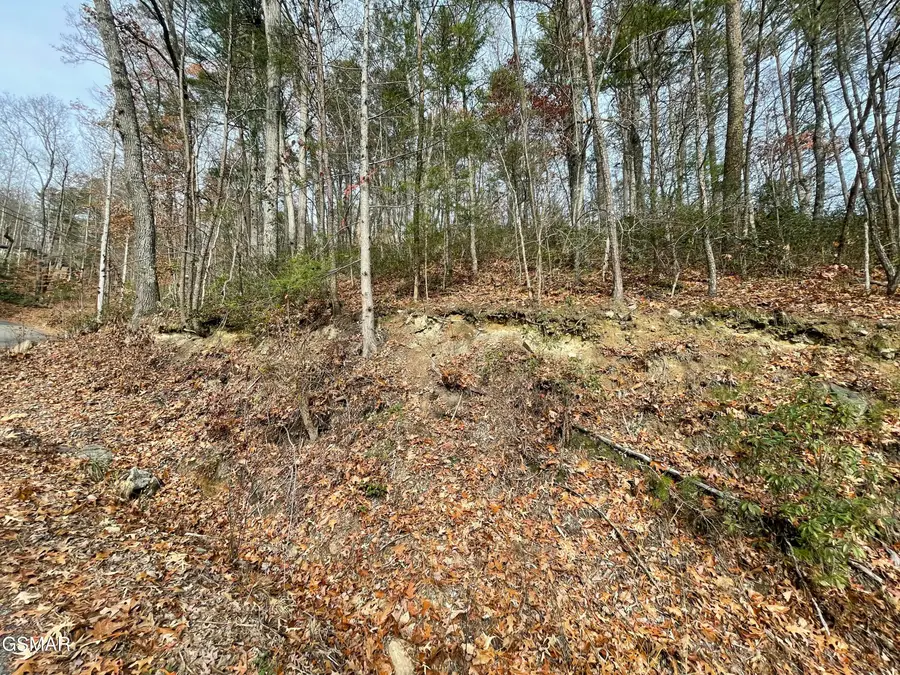 Lot 37R Sugar Mtn Way, Pigeon Forge, TN 37863 - Image #3