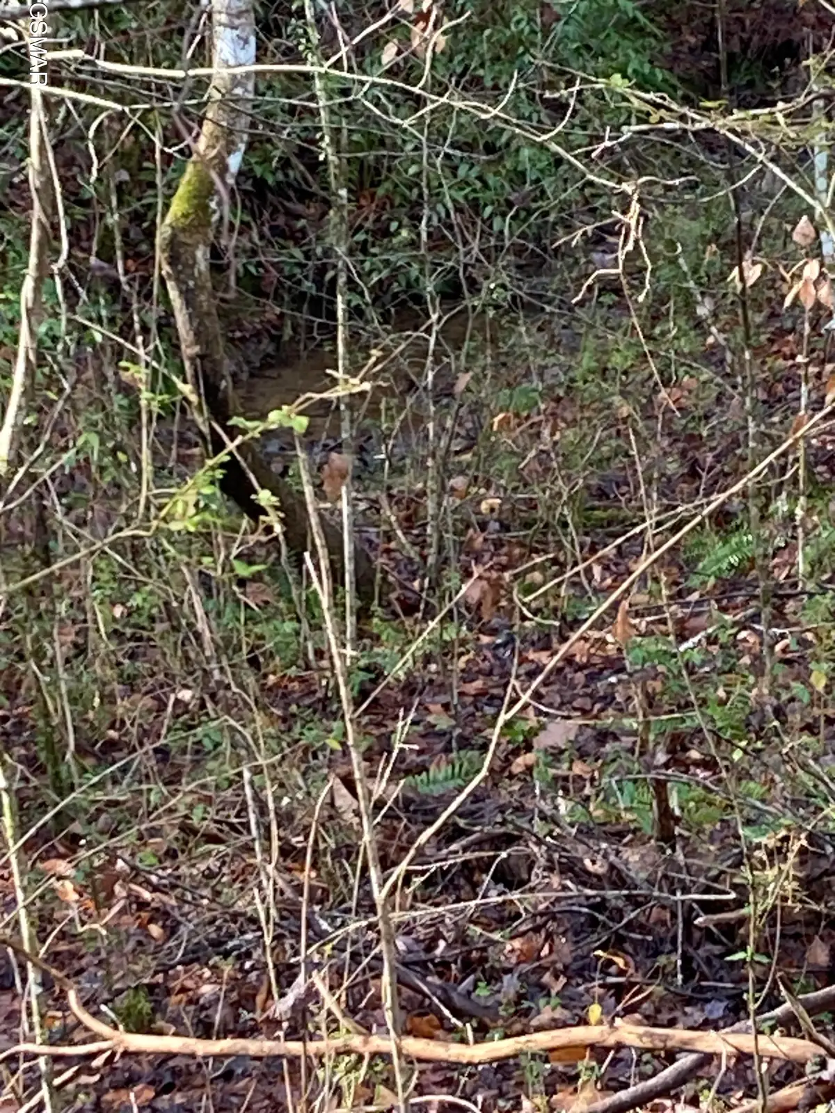 Lot 53A Fiesta Blvd, Sevierville, TN 37876 - Image #1