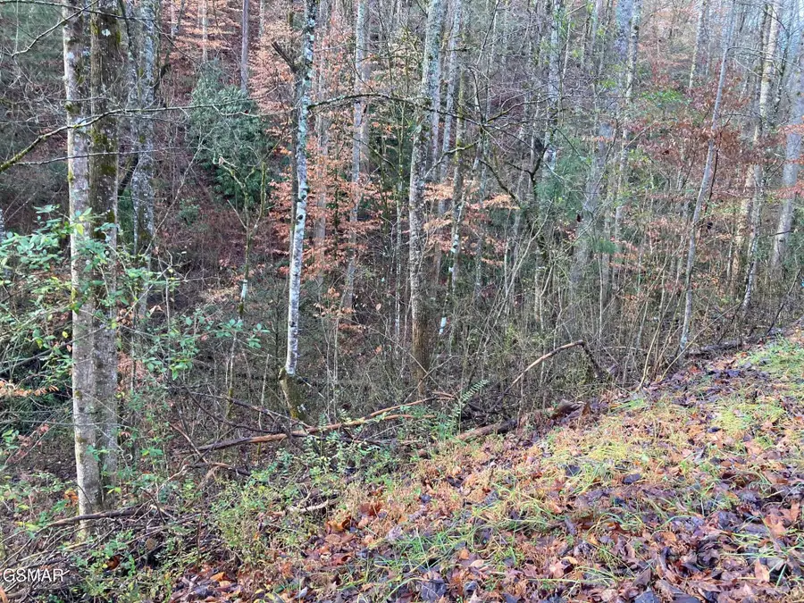 Lot 53A Fiesta Blvd, Sevierville, TN 37876 - Image #3