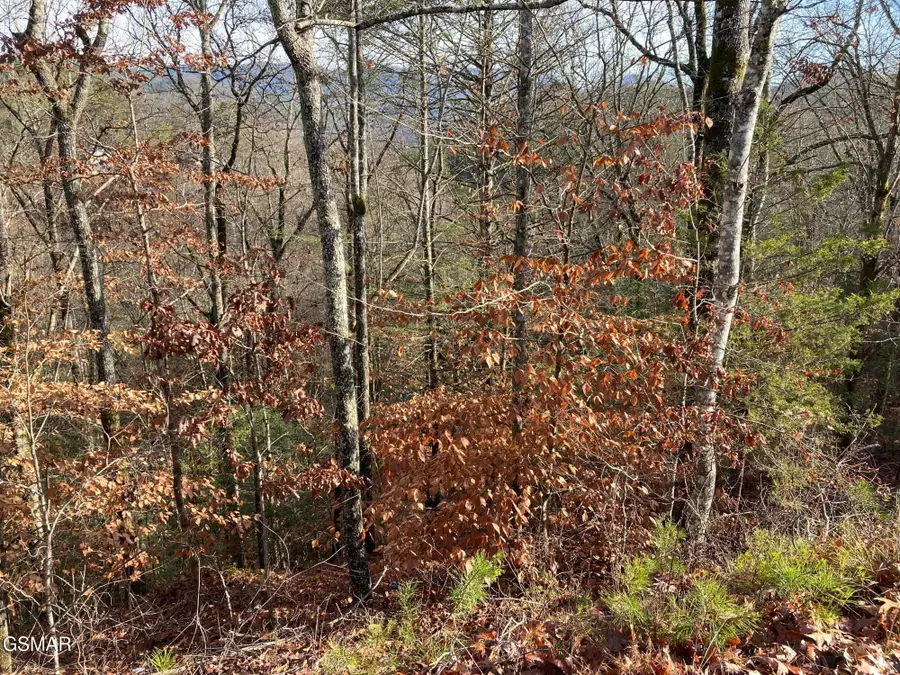 Lot 51 Red Cedar Ln, Sevierville, TN 37876 - #2