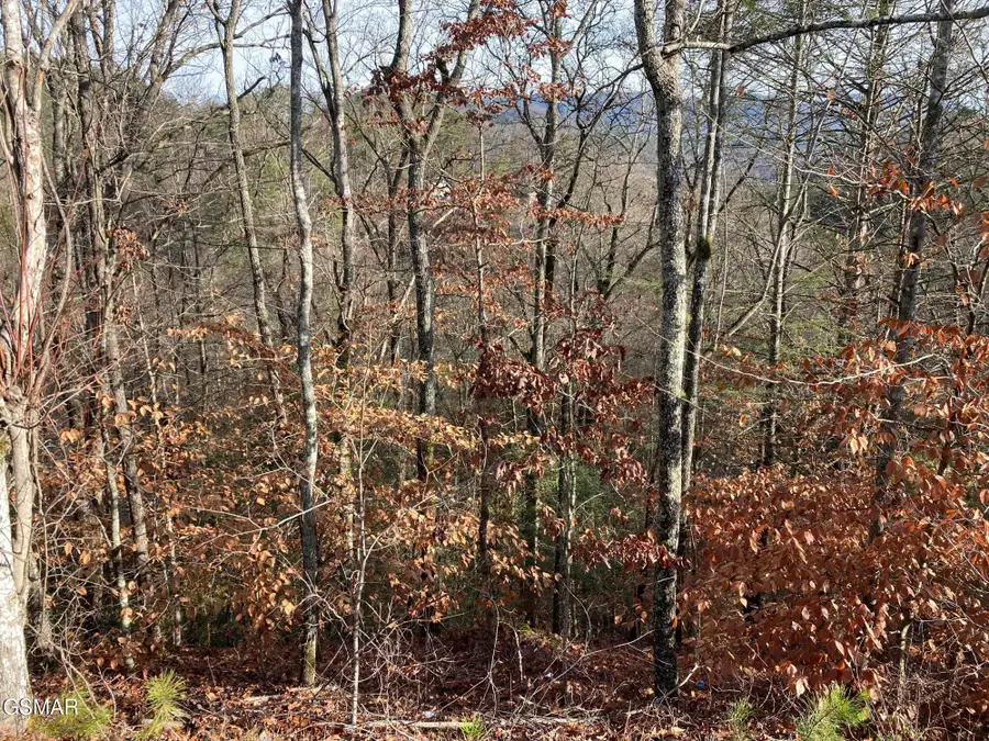 Lot 51 Red Cedar Ln, Sevierville, TN 37876 - #3
