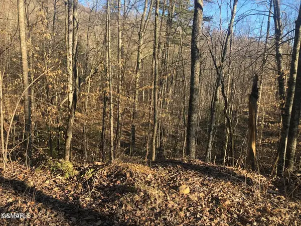 Lot 68 Yellowwood Drive, Sevierville, TN 37876