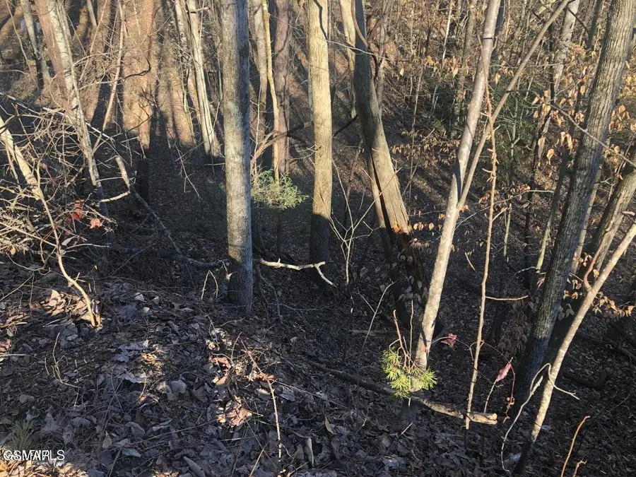 Lot 68 Yellowwood Drive, Sevierville, TN 37876 - Image #3