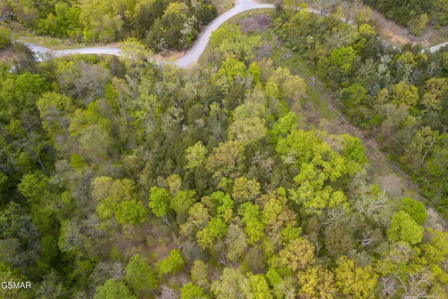 0 Sugar Cove Way, Newport, TN 37821 - Image #2