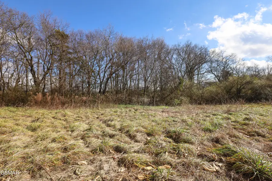 0 Gen Carl W Stiner Highway, La Follette, TN 37766 - Image #3