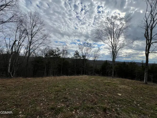 0 Goodwater Road, Bybee, TN 37713