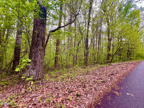 Lot 71, 72 Polly Mountain Rd, Madisonville, TN 37354