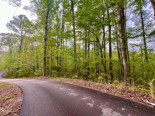 Lot 76, 77 Polly Mountain Rd, Madisonville, TN 37354