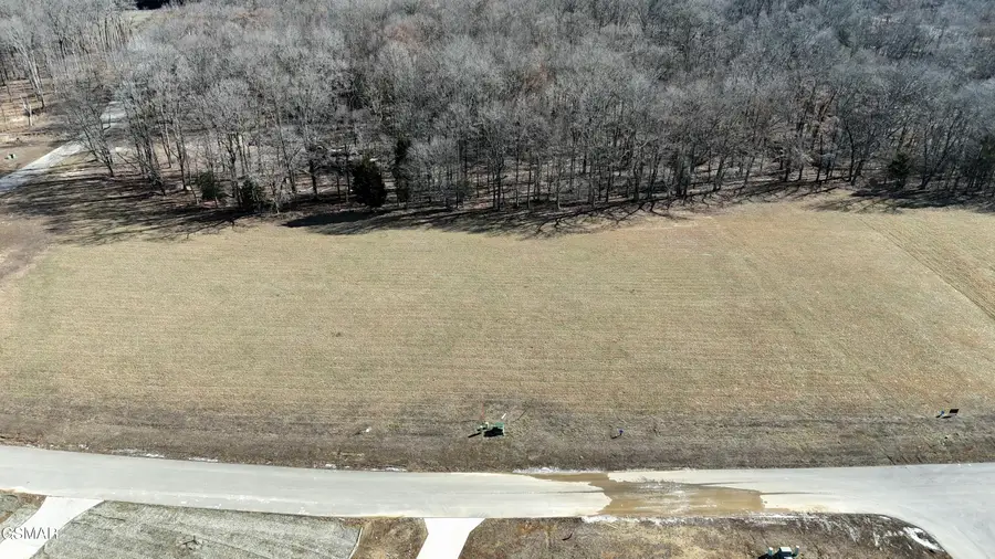 Lot 58 Sunset Boulevard, White Pine, TN 37890 - Image #2