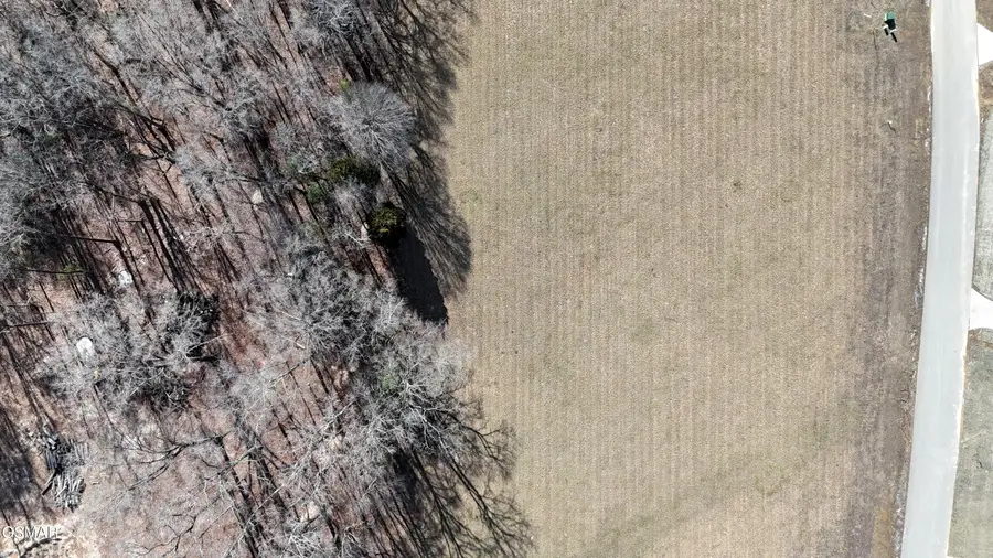 Lot 59 Sunset Boulevard, White Pine, TN 37890 - Image #3