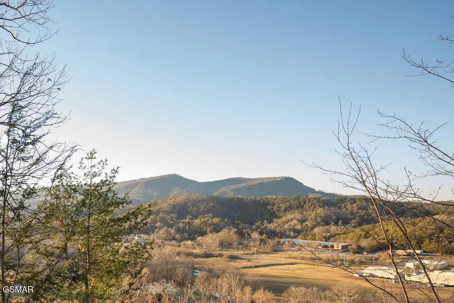 2310 Hollow Branch Way Way, Pigeon Forge, TN 37862 - Image #3