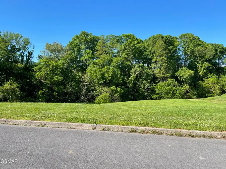 Lot 9 Alum Cave Cove, Sevierville, TN 37862 - Image #3