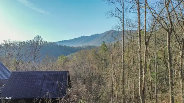 0 Cooper Hollow Road, Townsend, TN 37882