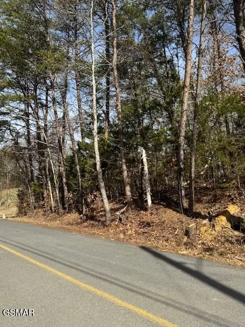 Lot 1191 Tree Line Lane, Baneberry, TN 37890 - Image #2