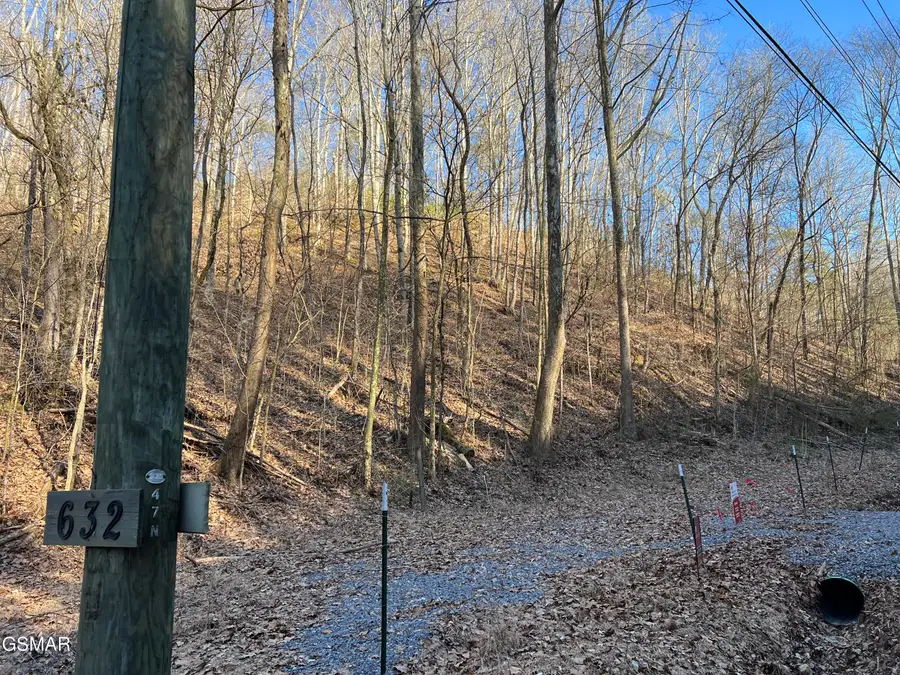 Lot 1 Indian Gap Road, Sevierville, TN 37876 - #2