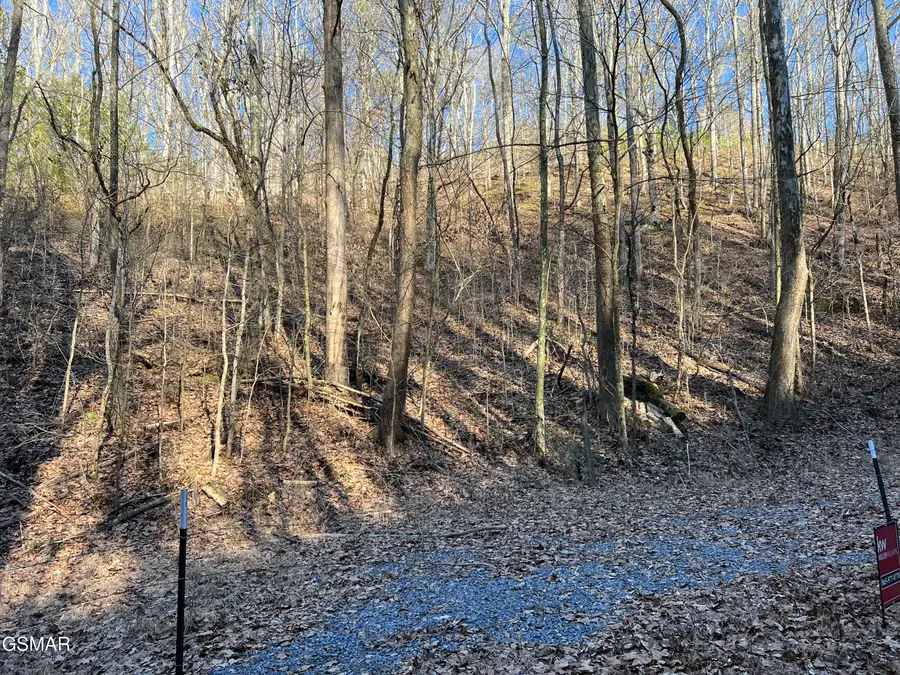 Lot 1 Indian Gap Road, Sevierville, TN 37876 - #3