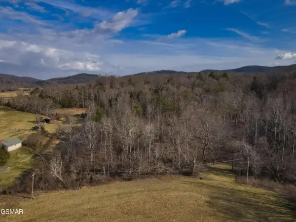Lot 10 Tarwater Lane, Sevierville, TN 37862