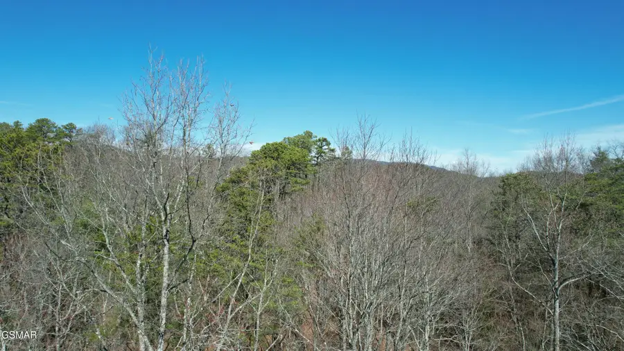 442 Hawken Drive, Walland, TN 37886 - Image #3