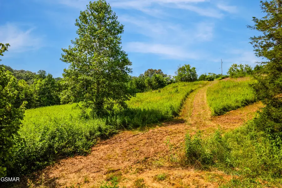 1950 Lafayette Road, New Market, TN 37820 - #2