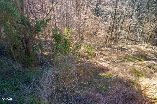 636 Stockton Drive, Sevierville, TN 37876 - Image #1