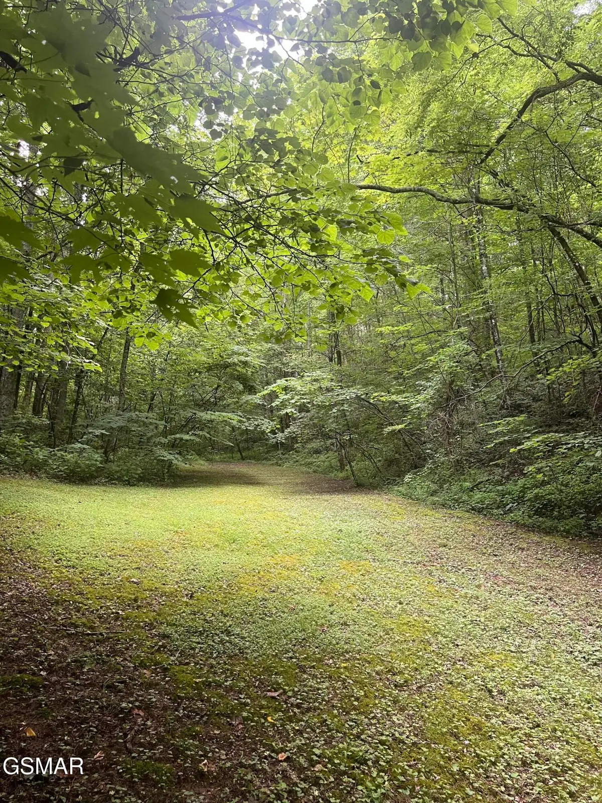 2110 Duck Pond Lane, Sevierville, TN 37876 - #1