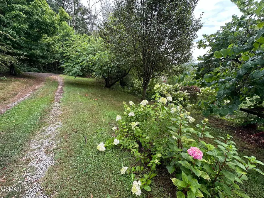 3855 Catewright Road, Kodak, TN 37764 - Image #3