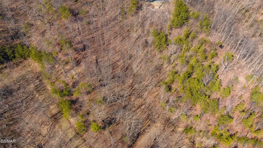 Lot 45 Cumberland Way, Gatlinburg, TN 37738 - Image #3