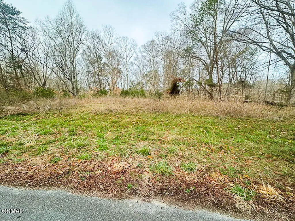 Lot 1102 Mountain View Lane, Baneberry, TN 37890 - Image #1