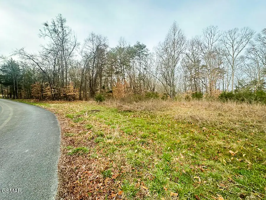 Lot 1102 Mountain View Lane, Baneberry, TN 37890 - Image #2