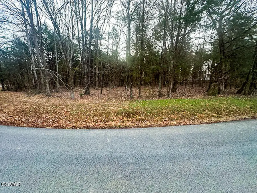 Lot 1102 Mountain View Lane, Baneberry, TN 37890 - Image #3