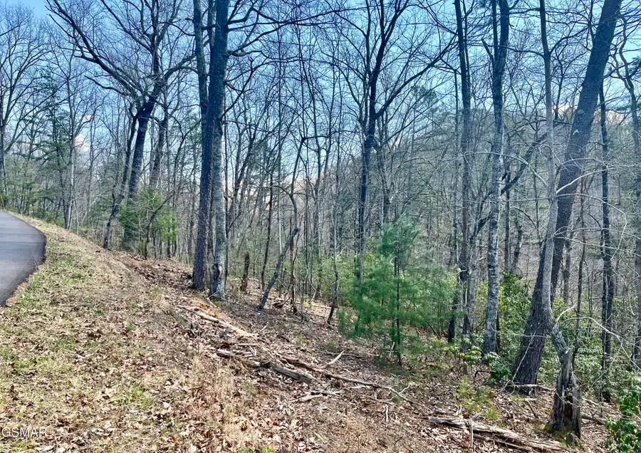 4010 Fox Hunters Lane, Sevierville, TN 37876 - #2