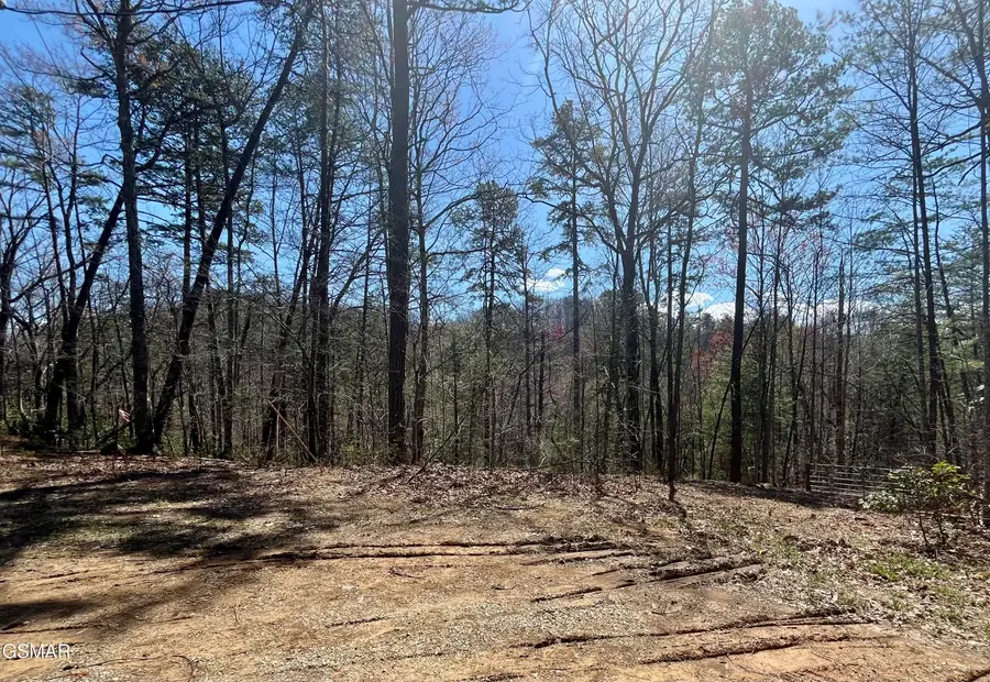 4010 Fox Hunters Lane, Sevierville, TN 37876 - #3