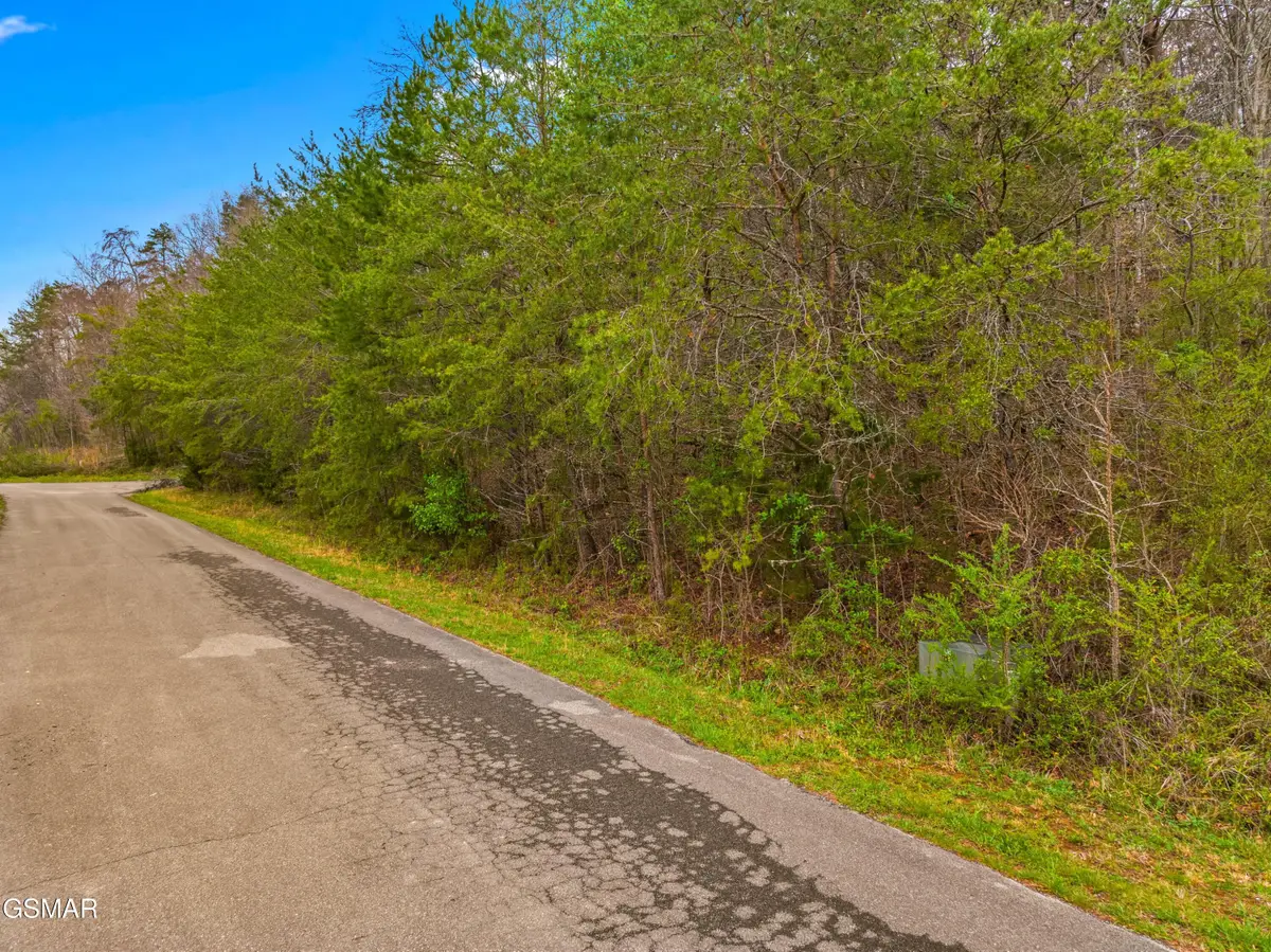 0 English Fields Drive, Newport, TN 37821 - Image #1