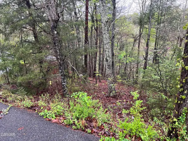 Lot 1 Mountain View Lane, Pigeon Forge, TN 37863