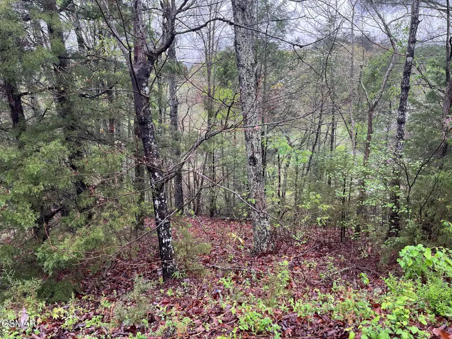 Lot 1 Mountain View Lane, Pigeon Forge, TN 37863 - Image #2