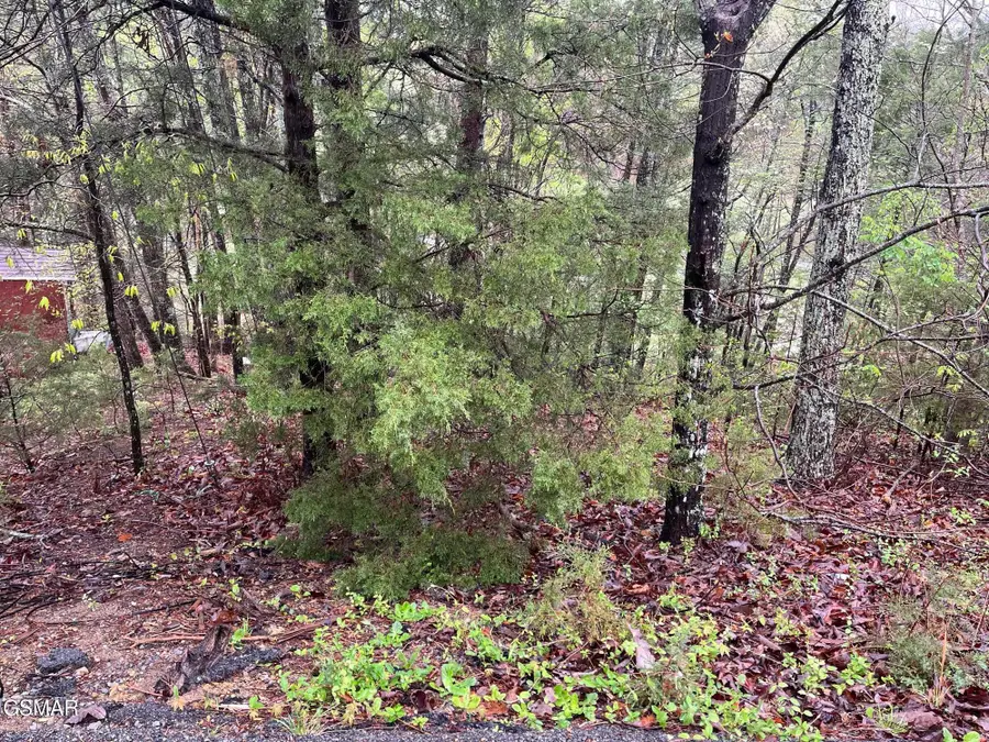 Lot 1 Mountain View Lane, Pigeon Forge, TN 37863 - Image #3