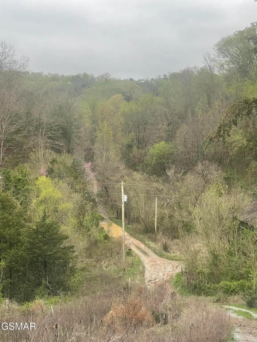 952 Stokes Valley Way, Parrottsville, TN 37843 - Image #3