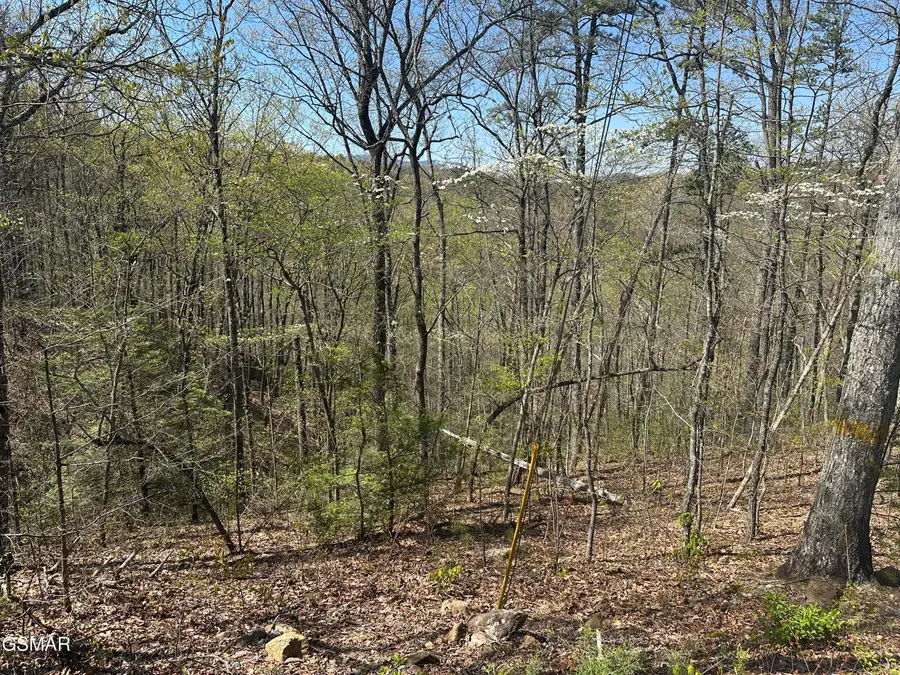 1532 Mountain Dreams Way Way, Pigeon Forge, TN 37862 - Image #2