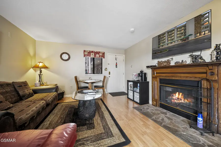 354 E Holly Ridge Road #STE 301, Gatlinburg, TN 37738 - Image #3