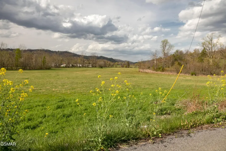 Lot B Tarwater Lane, Sevierville, TN 37862 - #2