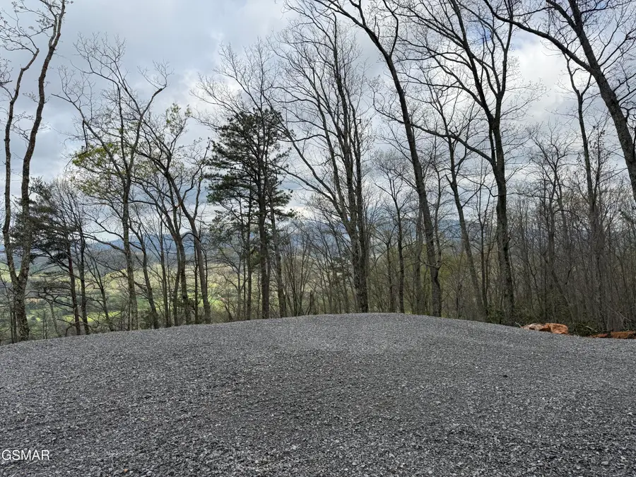 3.93 Green Forest Road, Cosby, TN 37722 - Image #2