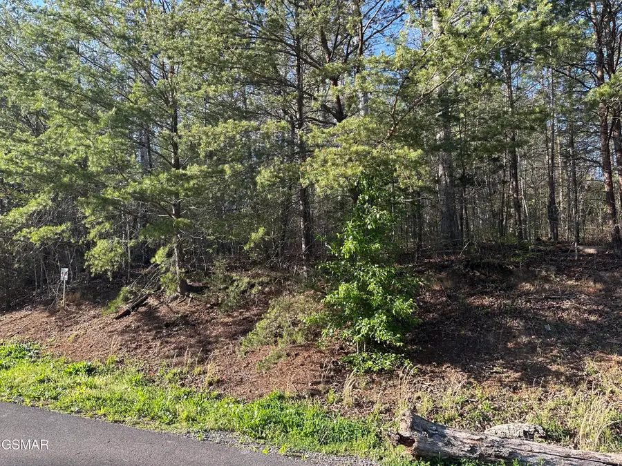 Lot 2 Timber Trail, Newport, TN 37821 - Image #3