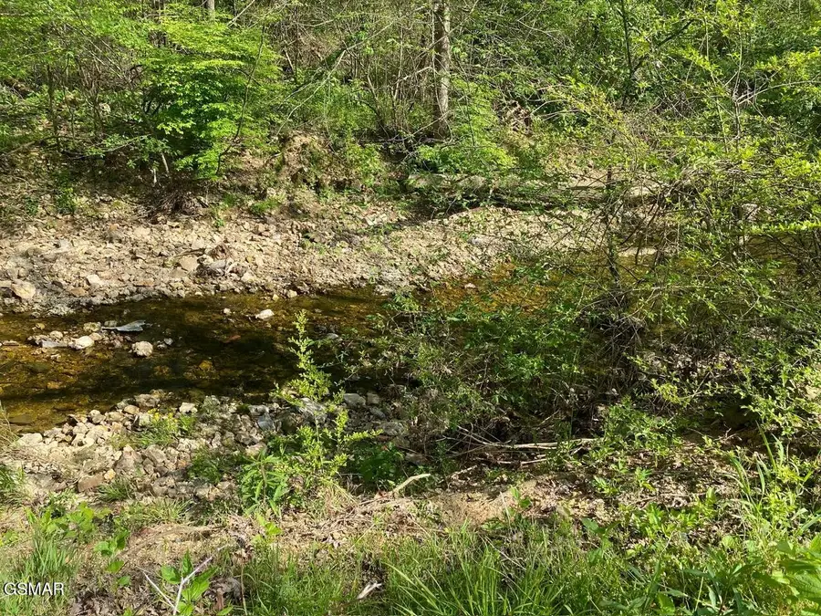 459 W Main Street, Smithville, TN 37166 - Image #2