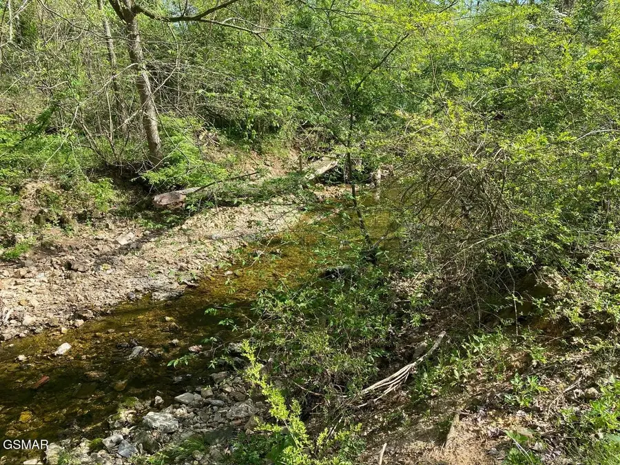 459 W Main Street, Smithville, TN 37166 - Image #3