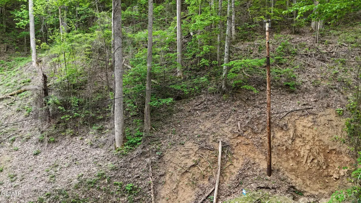 Lot 33 Black Walnut Flats Road, Sevierville, TN 37876 - #1