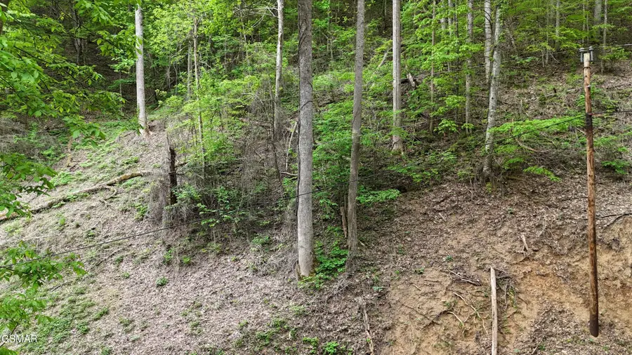 Lot 33 Black Walnut Flats Road, Sevierville, TN 37876 - #2