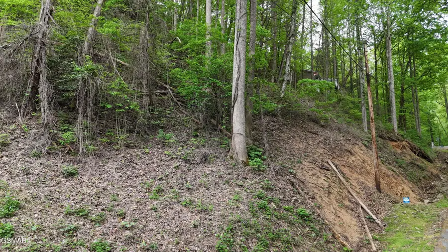 Lot 33 Black Walnut Flats Road, Sevierville, TN 37876 - #3