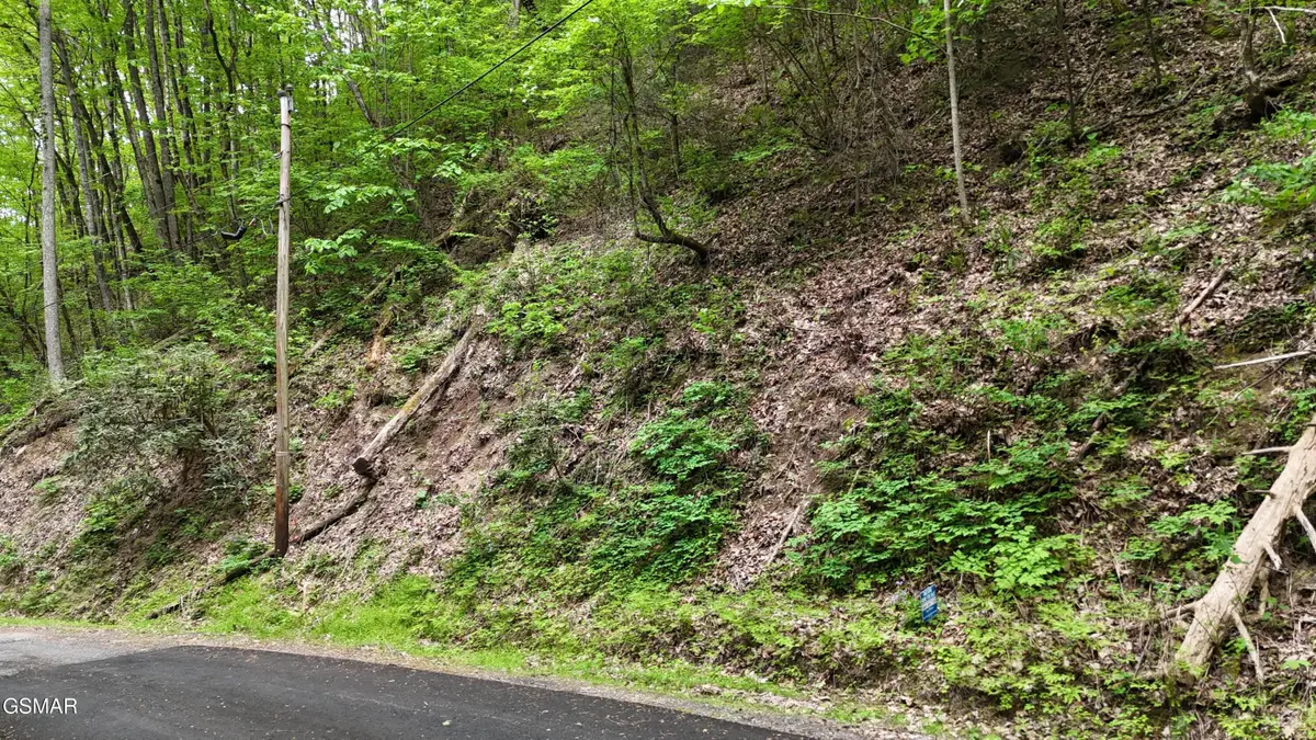 Lot 27 Black Walnut Flats Road, Sevierville, TN 37876 - #1