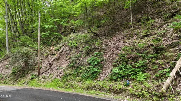 Lot 27 Black Walnut Flats Road, Sevierville, TN 37876
