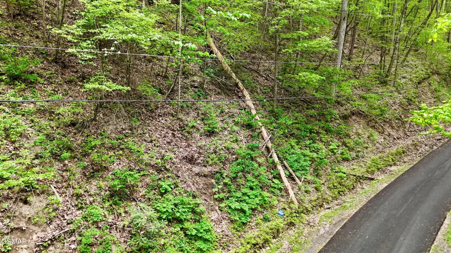 Lot 27 Black Walnut Flats Road, Sevierville, TN 37876 - #2